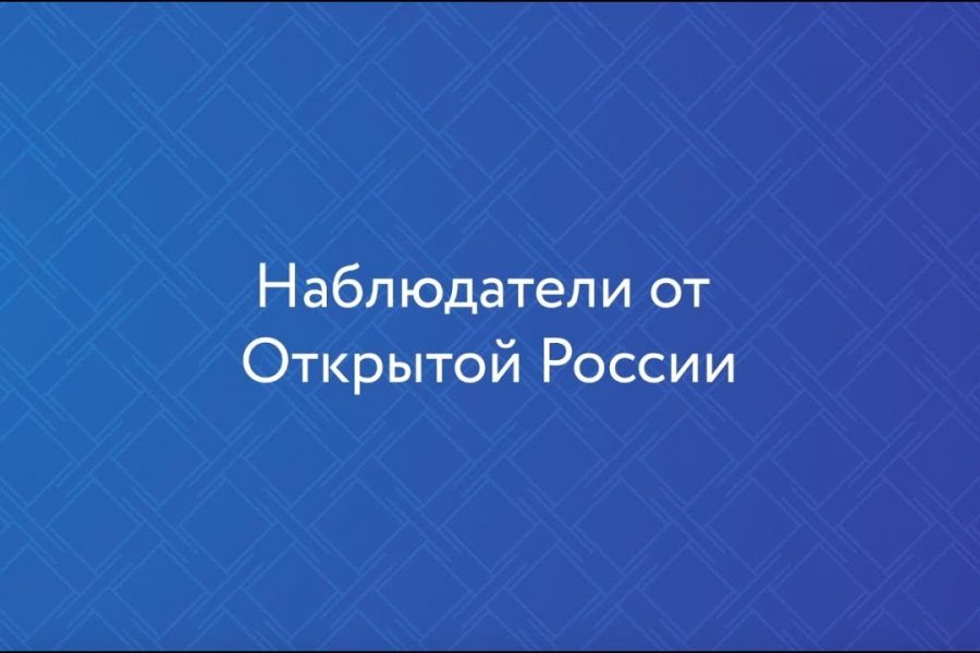 Наблюдатели «Открытой России»