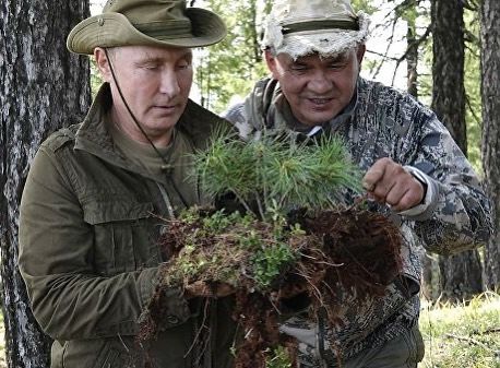 В стране беда, а разбираться некогда