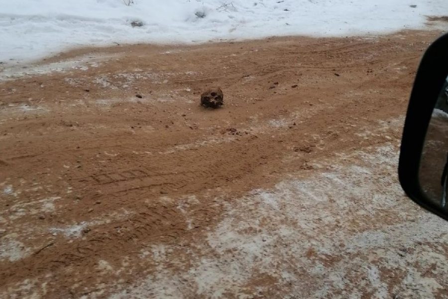 Песок с человеческими костями