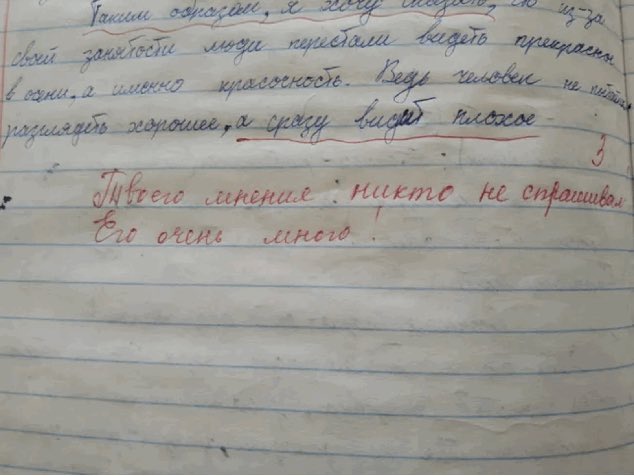 Никаких «особых» мнений