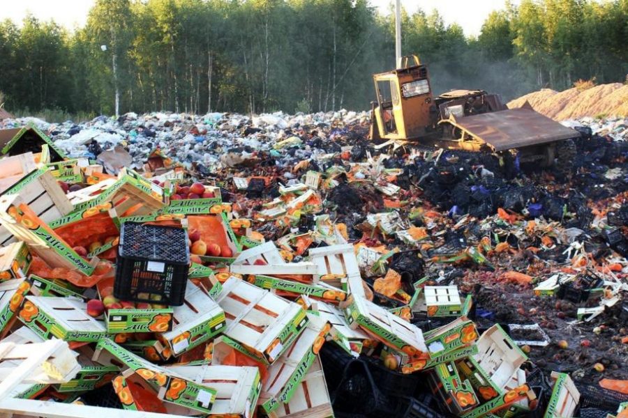 У Путина не было шанса