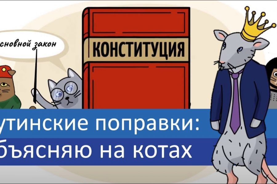 Путинские поправки: объясняю на котах