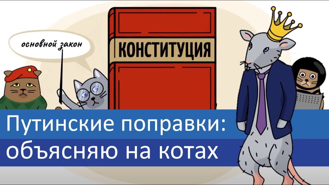 Путинские поправки: объясняю на котах