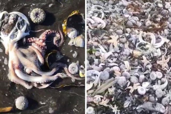 Дно оказалось ближе