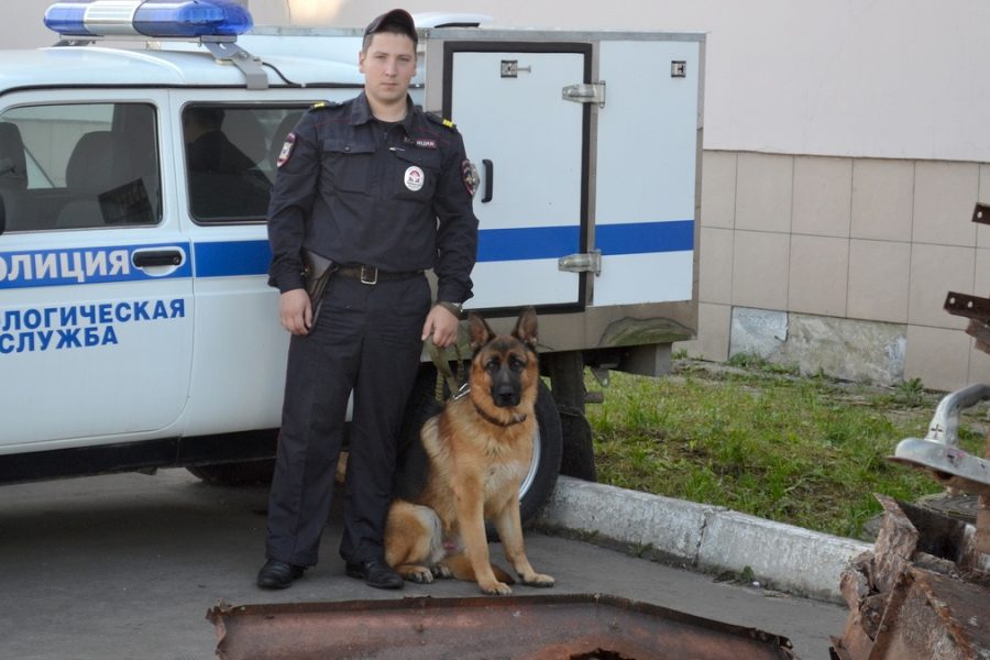 На зону за колбасу