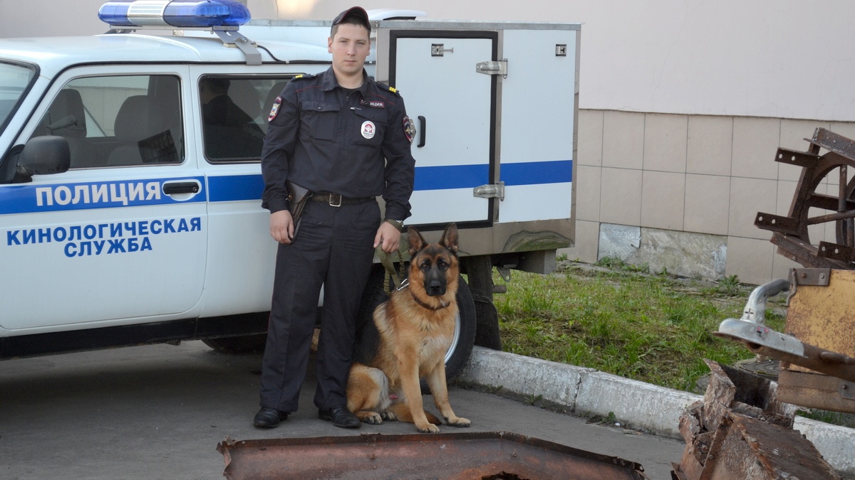 На зону за колбасу